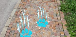 La nuova maglia del Napoli: Hamsik doma la pantera, il video della presentazione e i commenti di alcuni tifosi